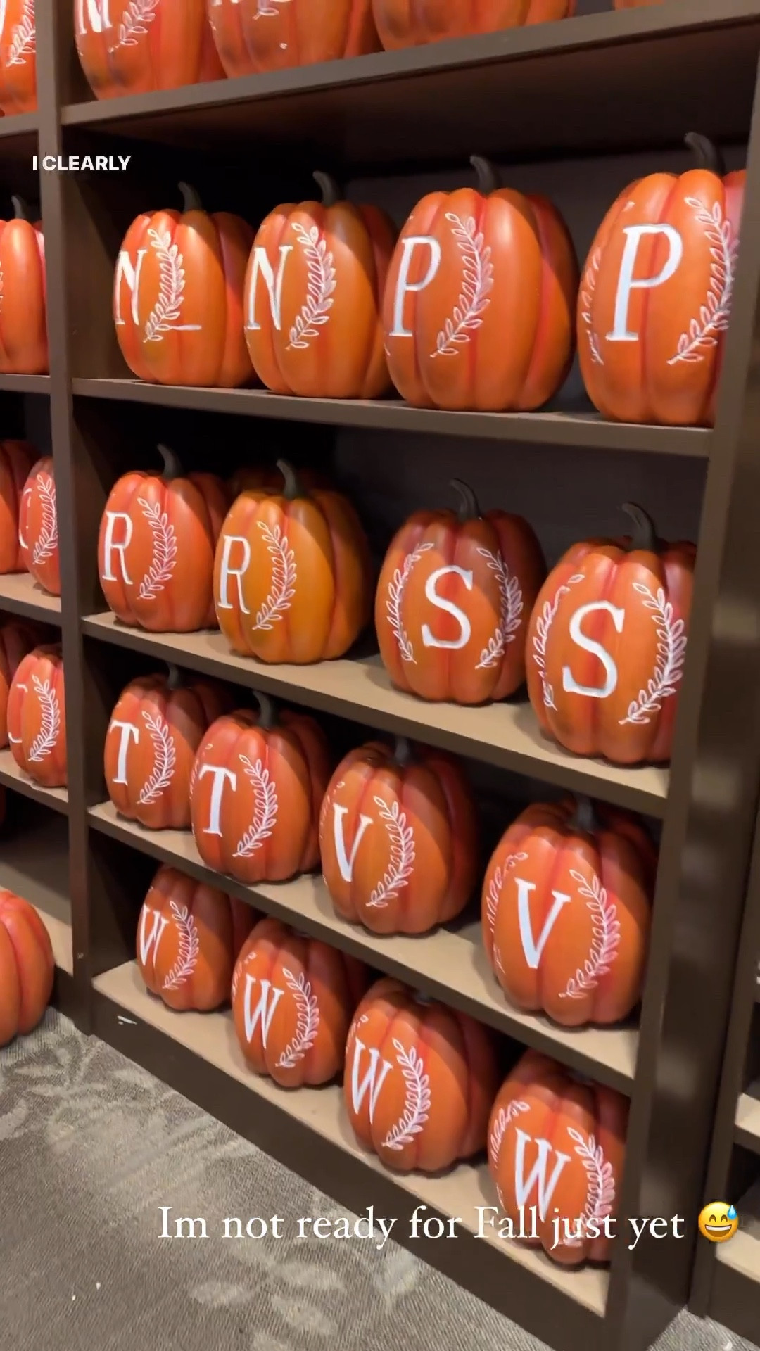 All the Fall things are on sale at Kirkland this weekend. These monogram pumpkins and other decor are 50% off! 

#LTKhome #LTKSeasonal #LTKSale