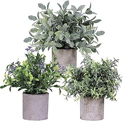 Winlyn 3 Pack Faux Potted Eucalyptus Plants Small Farmhouse Plant Artificial Plants Table Greener... | Amazon (US)