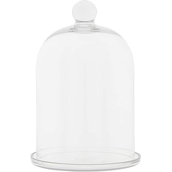 Creative Co-Op Glass Cloche with Clear Glass Plate | Amazon (US)