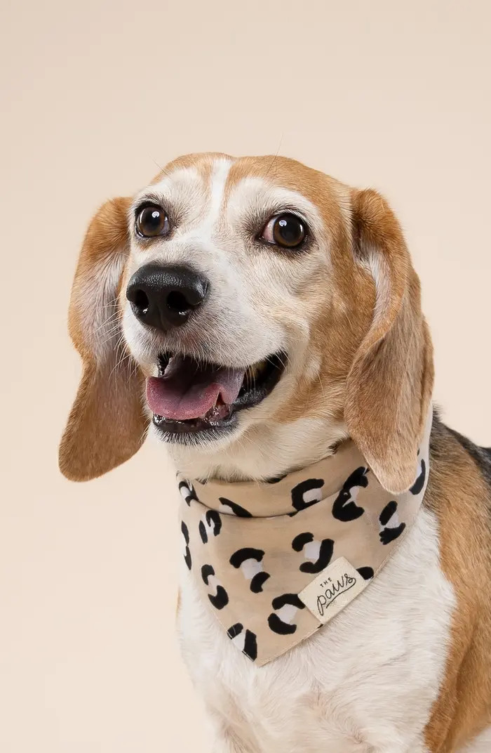 Urban Dog Bandana | Nordstrom