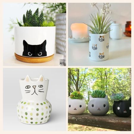 Cute little garden planter pots for cat lovers with green thumbs 😻🌱🍃🪴

#LTKfindsunder50 #LTKSeasonal #LTKhome