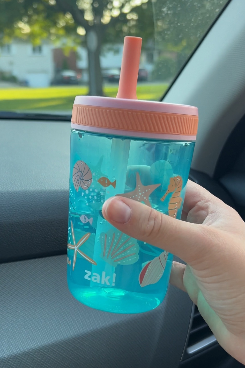 Best Straw Cup for Babies & Toddlers 