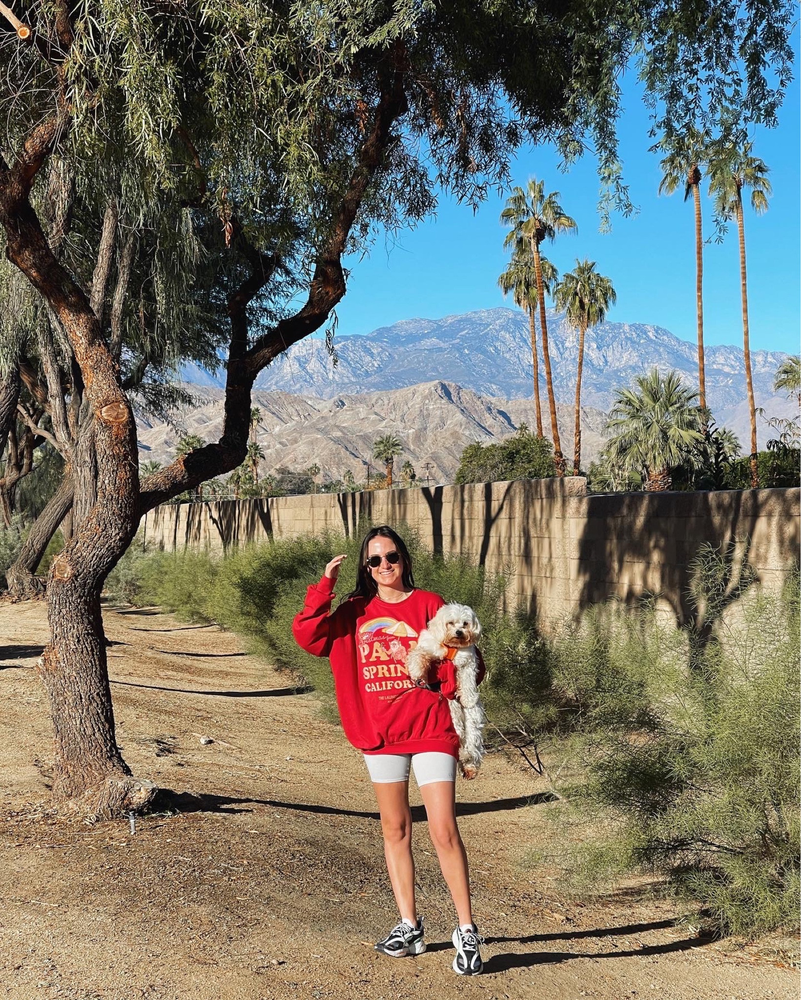 Winter in Palm Springs 🌈🌴

#LTKFind #LTKfit #LTKSeasonal