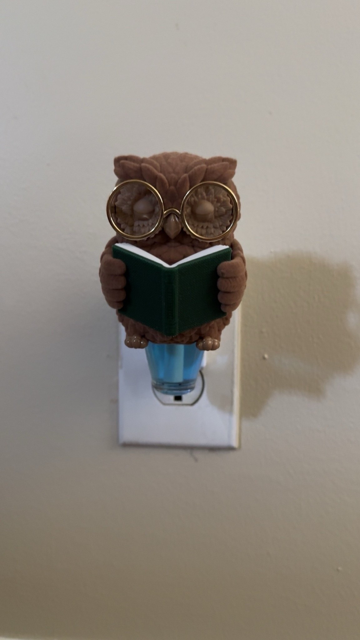 Reading Owl Scent Control 🦉📖

This is seriously adorable 😭🤎 I’m so obsessed. If you know me you know I love Drake and love read! 

#LTKhomedecor

#LTKHome