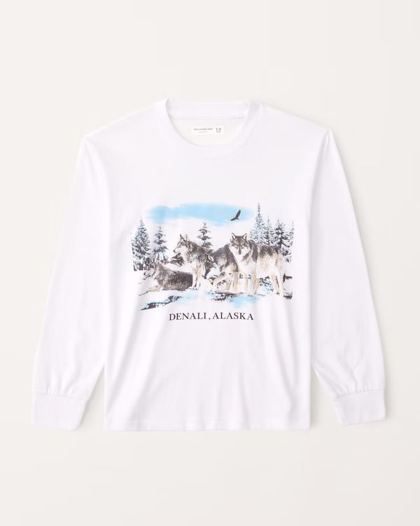 long-sleeve denali graphic tee | Abercrombie & Fitch (US)
