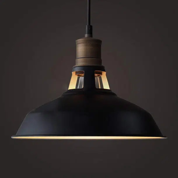 Reina 1 - Light Single Dome Pendant | Wayfair North America