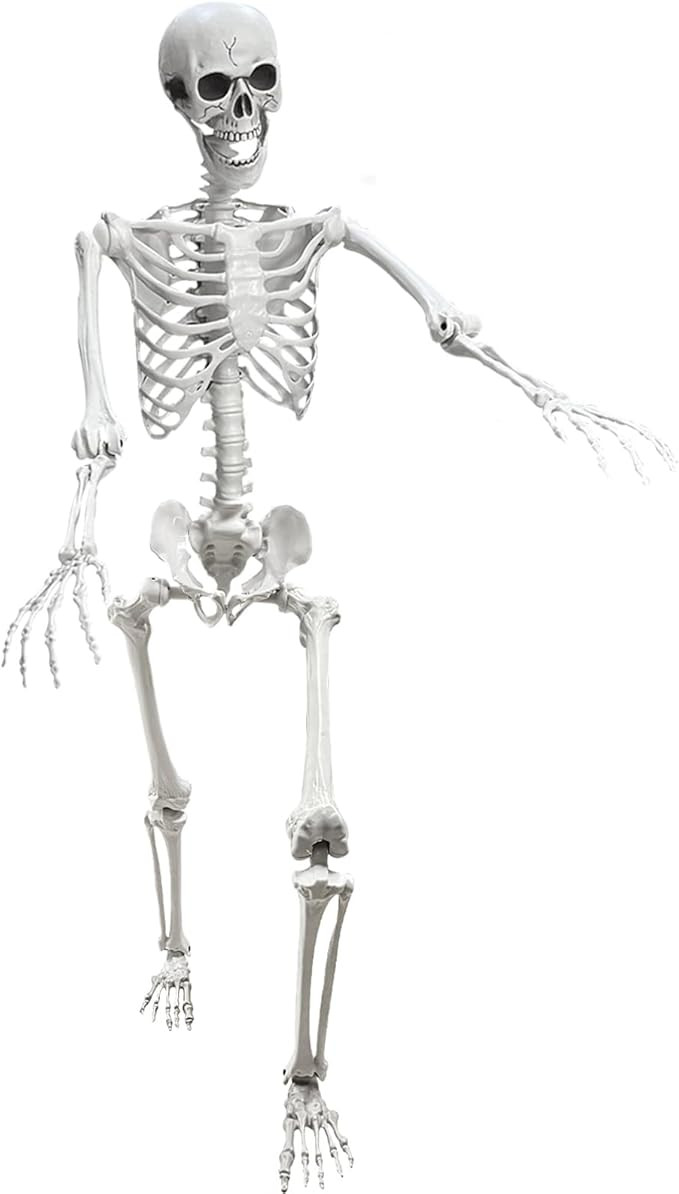 5.4Ft Posable Life Size Human Adult Skeletons Plastic Human Bones with Movable Joints for Hallowe... | Amazon (US)
