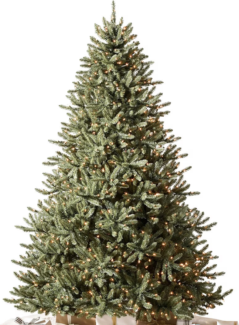 Balsam Hill 7.5ft Pre-Lit Classic Blue Spruce - Artificial Christmas Tree with 1000 Clear Incande... | Amazon (US)