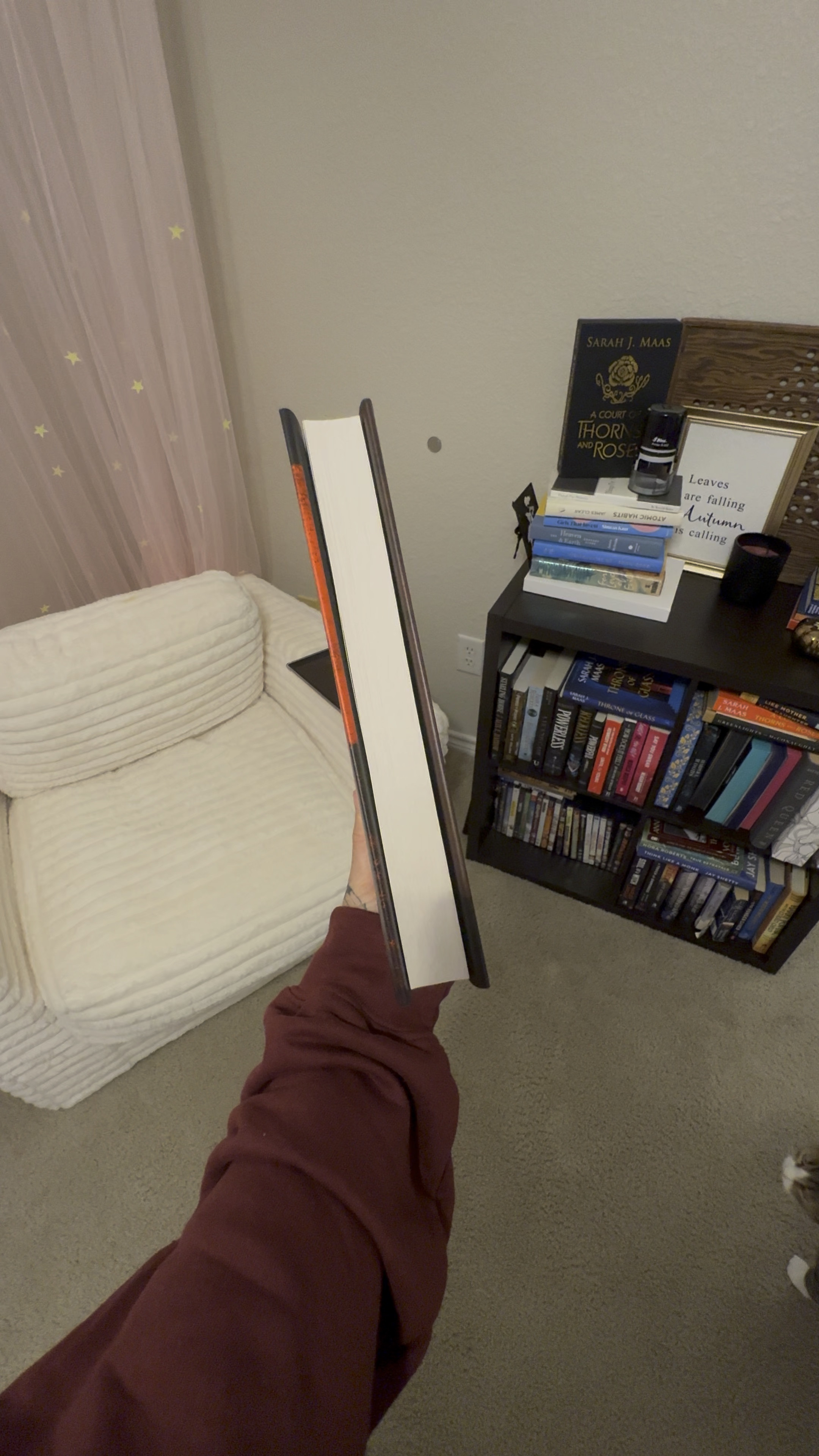 Some thriller recommendations! And my reading chair 📚🫶🏻
