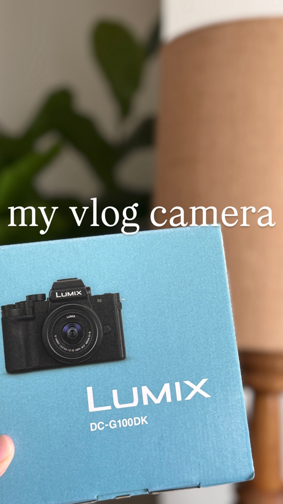 Vlogging camera info LUMIX G100

#LTKTravel