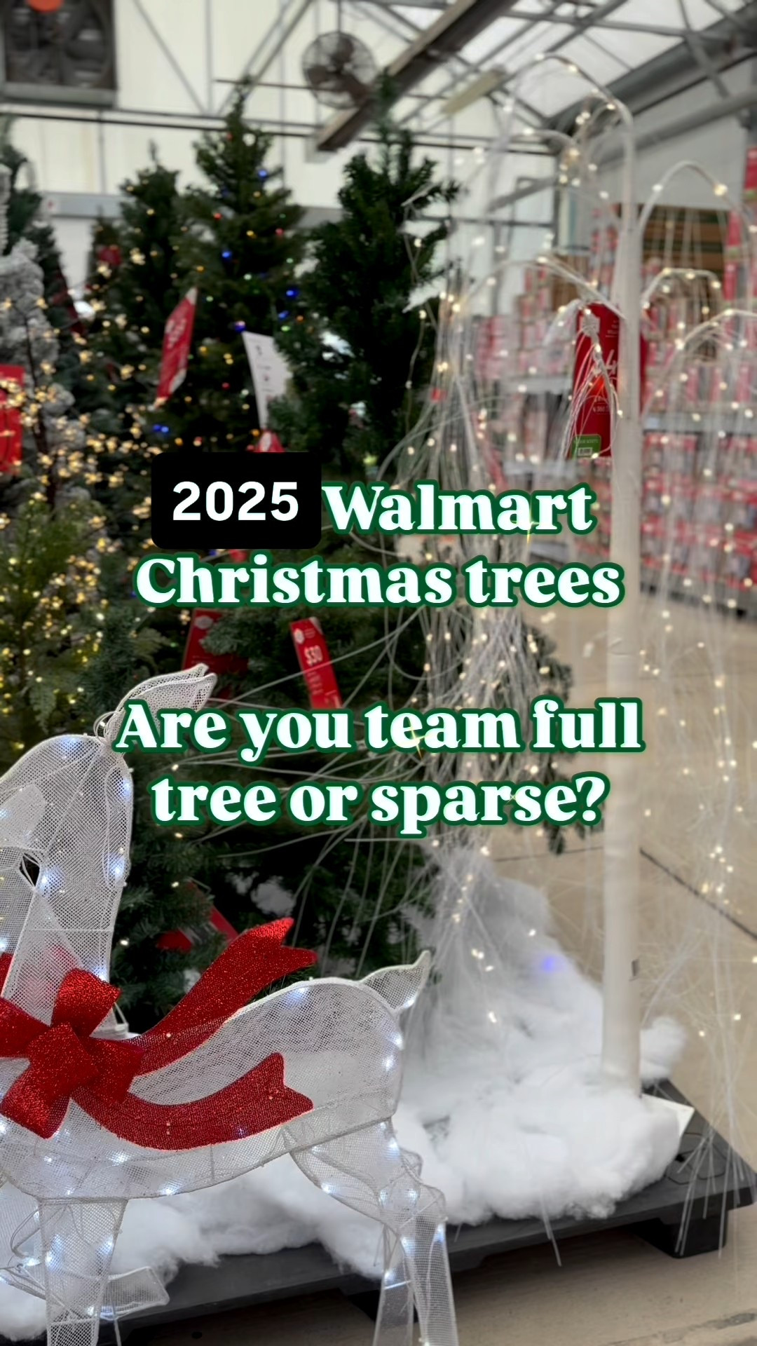 Some new and old Walmart Christmas trees for 2025! These are gorgeous. Holiday time and my Texas house are taking over this holiday season. 

Follow me for new Walmart Christmas decor, seasonal decorating and more!

#christmas #christmasdecor #christmastime #happyholidays #christmascountdown #jinglebells #walmartchristmas #walmarthome #iywyk #christmas2025

#LTKHome #LTKSeasonal