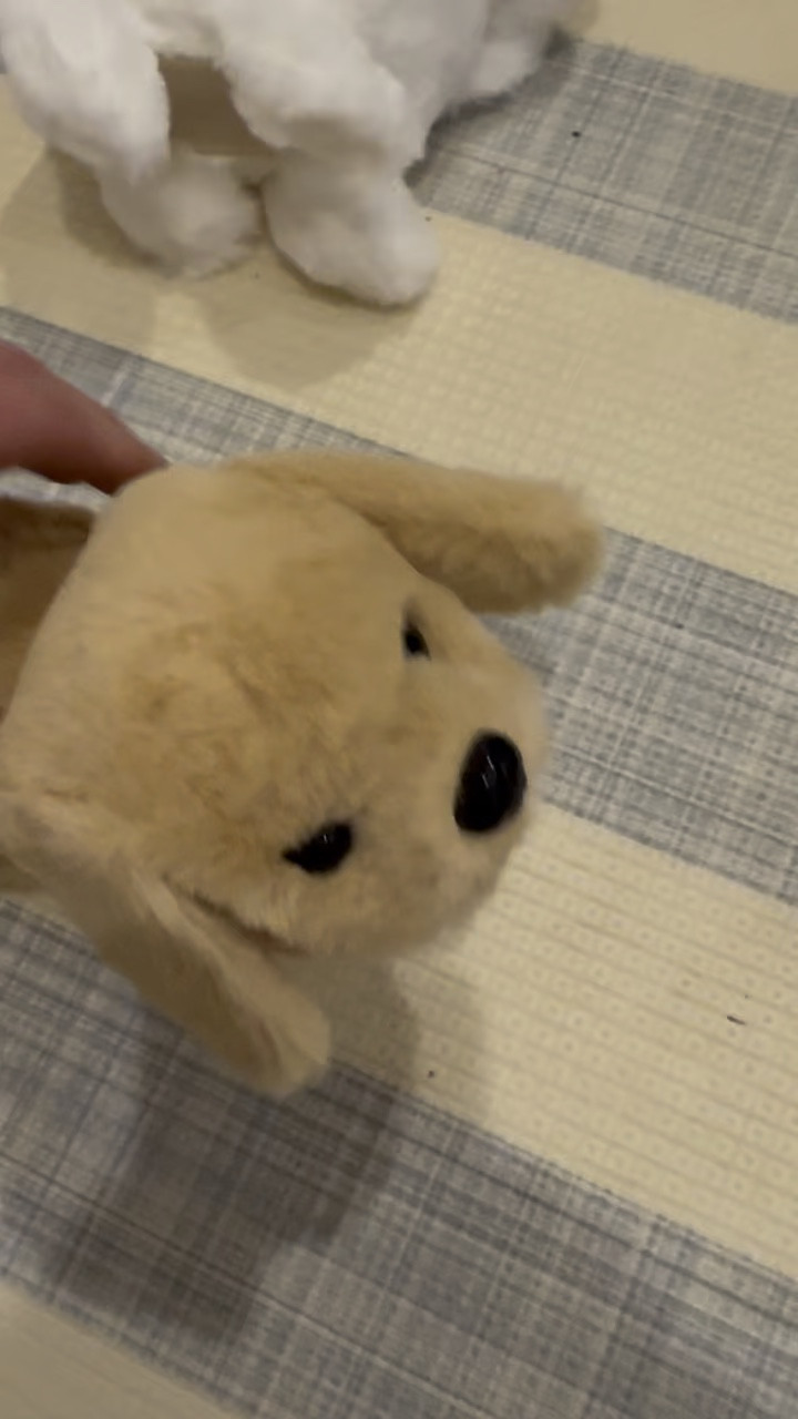 These puppies are such a great gift! We got them from Amazon! 

#LTKWatchNow #LTKGiftGuide #LTKHoliday