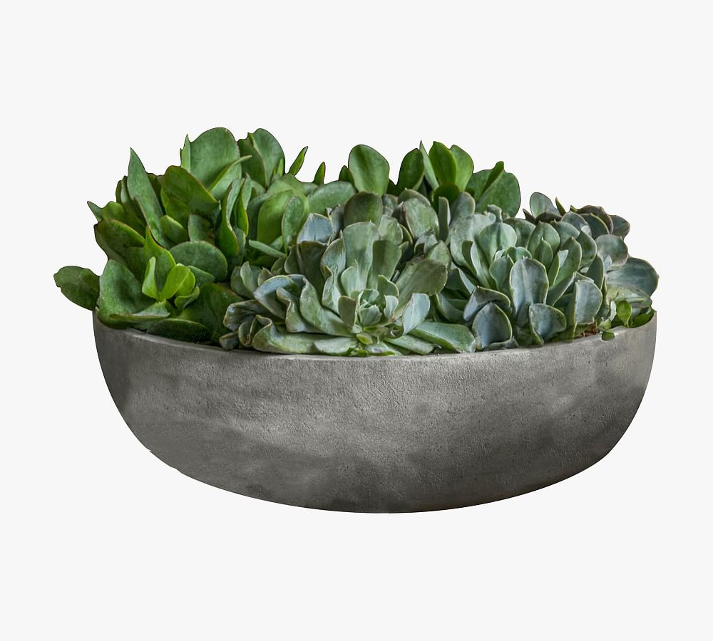 Makayla Bowl Planter | Pottery Barn (US)