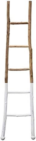 Creative Co-Op Dipped Decorative Wood Ladder, White | Amazon (US)