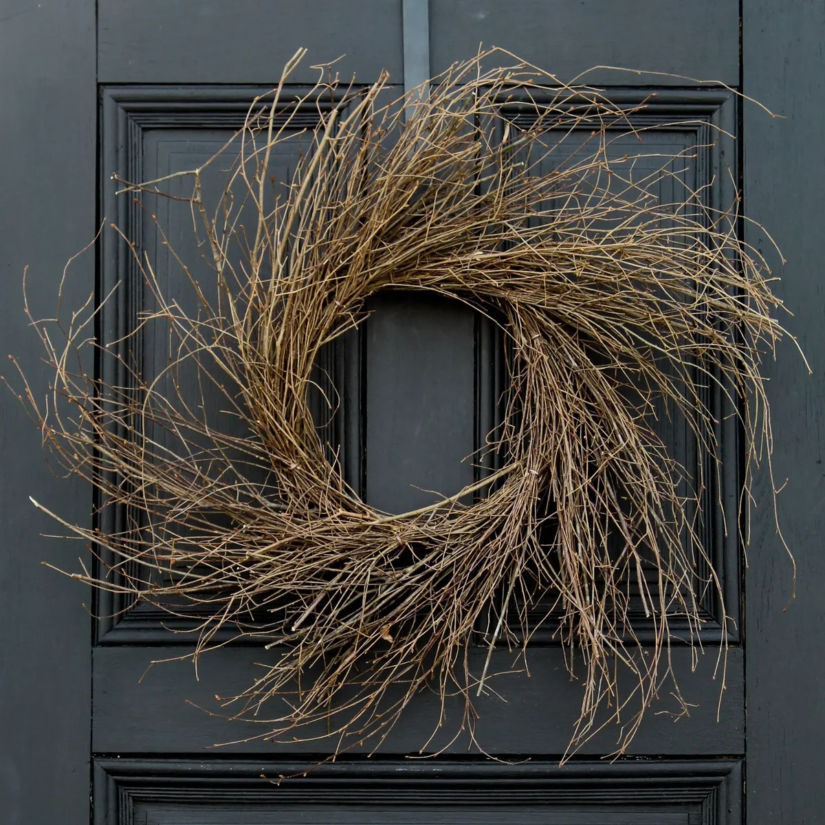 Wispy Natural Birch Twig Everyday Wreath Base | Darby Creek Trading