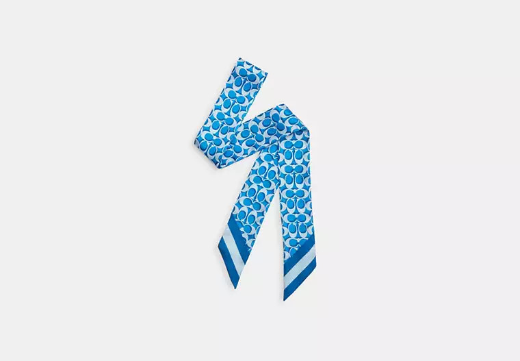 Signature Print Silk Skinny Scarf | Coach Outlet US