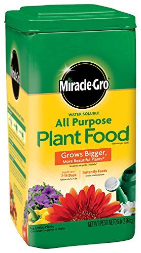 Miracle-Gro Water Soluble All Purpose Plant Food | Amazon (US)