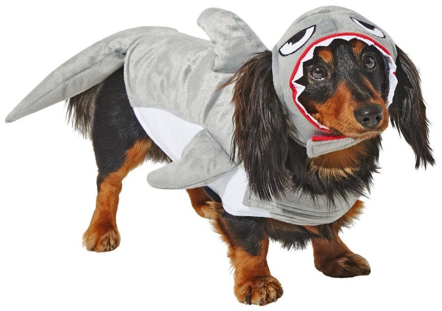 FRISCO Shark Attack Dog & Cat Costume, Medium - Chewy.com | Chewy.com