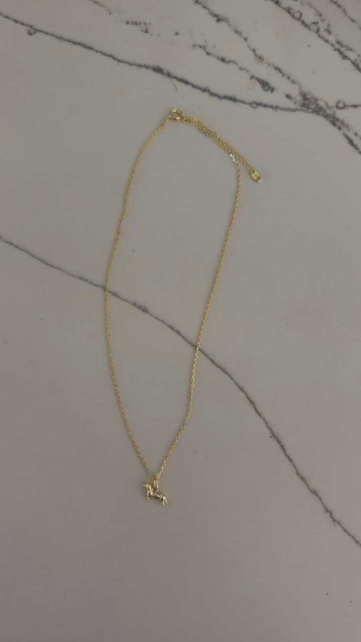 The cutest dachshund necklace. I love how dainty it is! Less than $18

#LTKMidsize #LTKOver40
