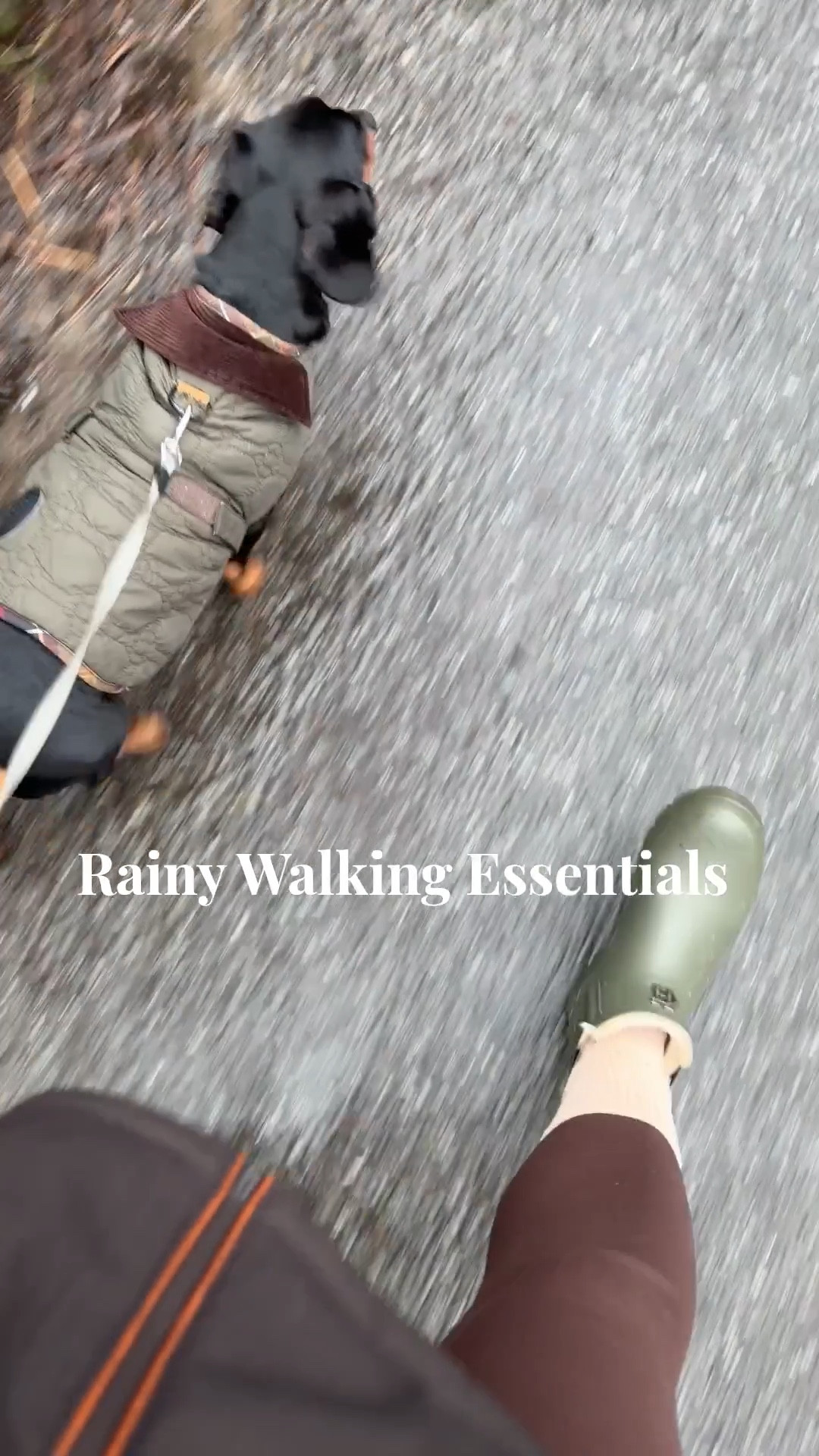 Proof that dog walking can still feel chic with classic layers and countryside staples. 🦮🤎 Winter walking outfit, countryside aesthetic, quilted jacket outfit, neutral winter layers, green wellington boots, winter basics, dog mom outfit, chic outdoor style, British country walk, quiet luxury casual

#LTKwinter #LTKluxury #LTKuk