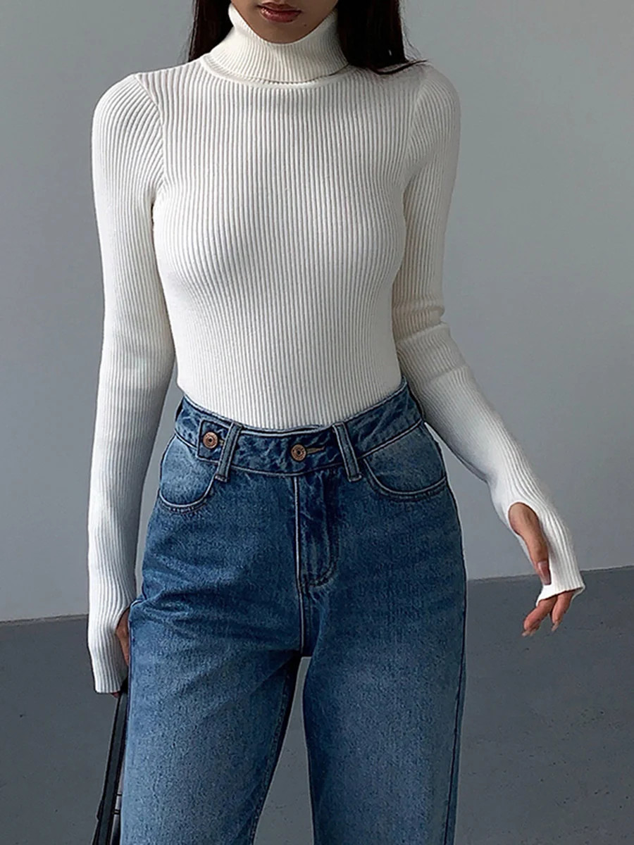 Minimalist Turtleneck Slim Knit Top | Commense
