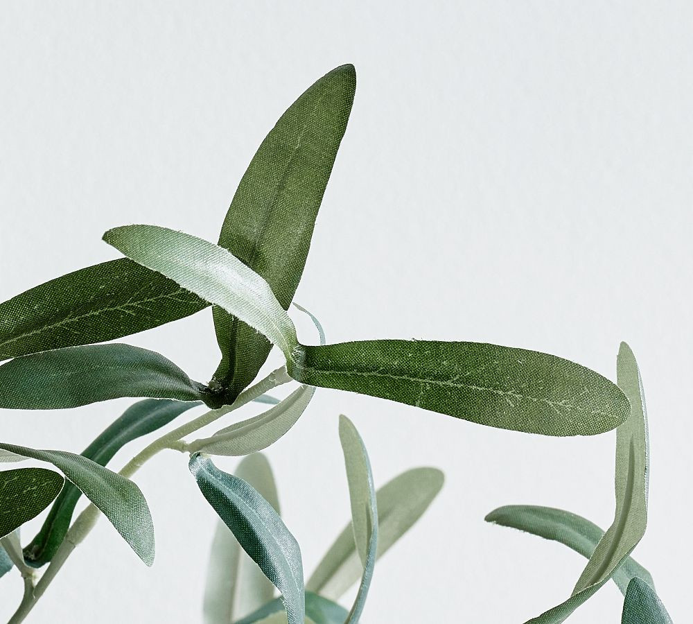 Faux Olive Bundle | Pottery Barn (US)
