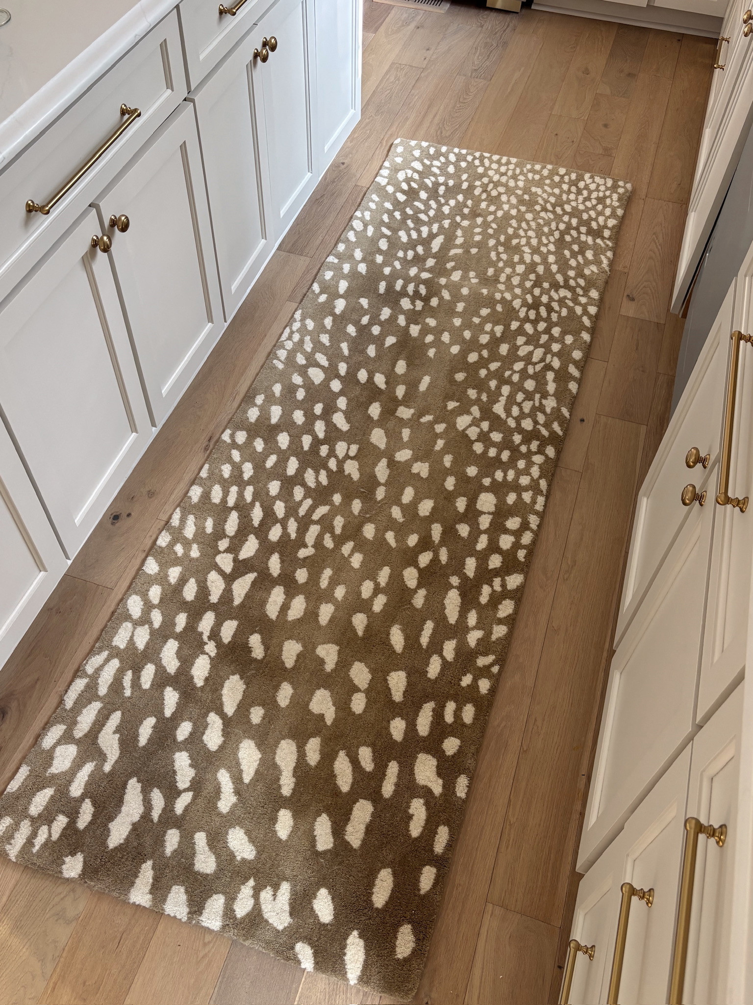Love this little pop of print in the kitchen🤎





kitchen runner, kitchen rug, kitchen decor, patterned rug, neutral kitchen, kitchen finds, home decor, home finds, fall decor, sidneymarieduke 

 #LTKHome