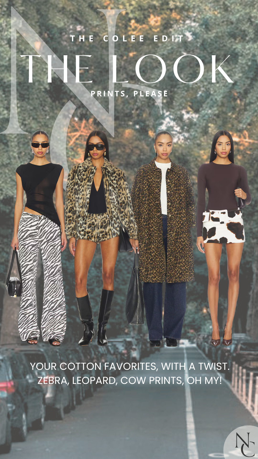 Prints, please. 🐆🦓 Consider this your permission slip to have a little more fun with your fall wardrobe. Zebra, leopard, cow print—paired with simple basics so the print does all the talking. Because sometimes more is more. 🤎 

 #LTKdayinmylife #LTKgrwm #LTKootd