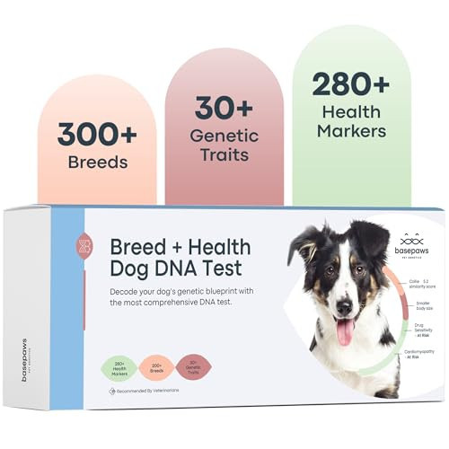 Basepaws Dog DNA Testing Kit - 300+ Breeds, 280+ Health Risks, and 30+ Traits - Comprehensive Mixed Breed Identification, Pet DNA Test kit, Canine Genetic Ancestry and Heritage | Amazon (US)
