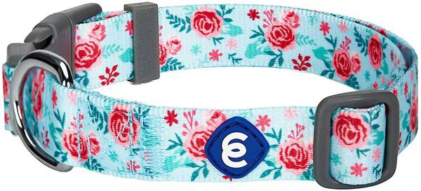 Blueberry Pet Essentials Spring Scent Inspired Garden Floral Adjustable Dog Collar, Pastel Blue, ... | Chewy.com