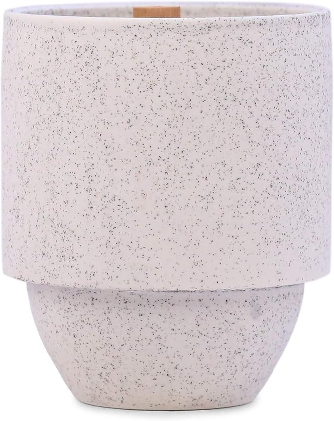 Paddywax Candles Parks Collection Scented Candle, 11-Ounce, Glacier - White Pine + Hemlock | Amazon (US)