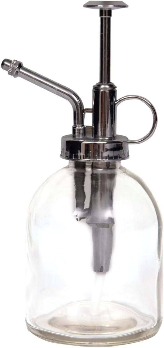 Creative Co-Op Clear Glass Plant Mister with Silver Top | Amazon (US)