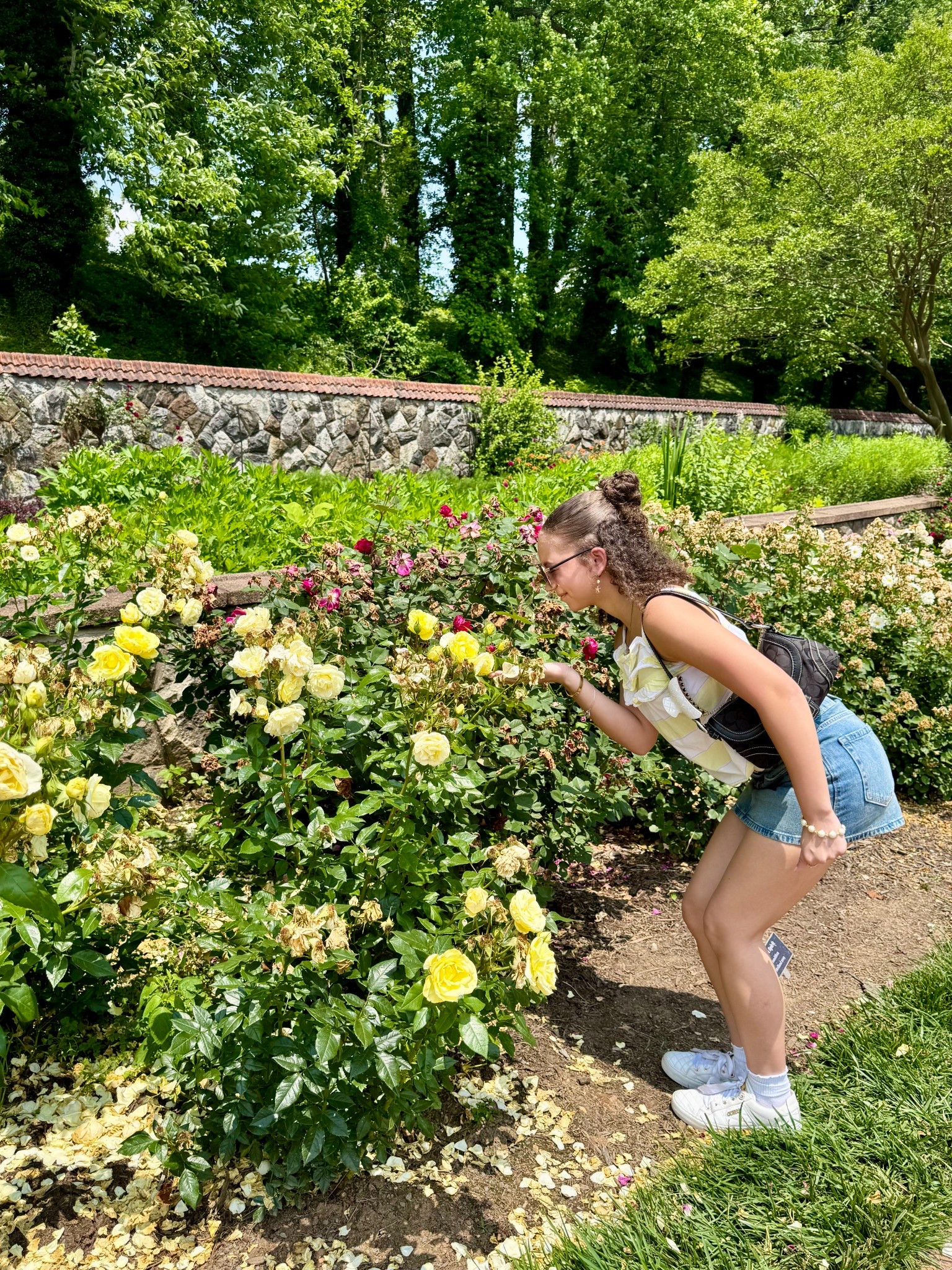 🌼Cute Denim Mini Skort for Girls! My 13 year old daughter loves this skort & I love the hidden shorts!  

Summer Outfit for Girls | Teen & Tween Summer Outfit | Jean Skirt #hollister

#LTKStyleTip #LTKFamily #LTKSummerEdit #LTKFindsUnder50 #LTKSeasonal #LTKKids