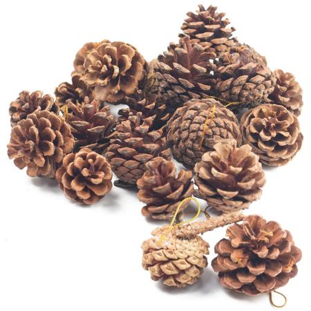 Christmas Pine Cone Country Style Decoration Accessories 5-7CM Diameter Oil Pine Pine Cone Pendant R | Walmart (US)
