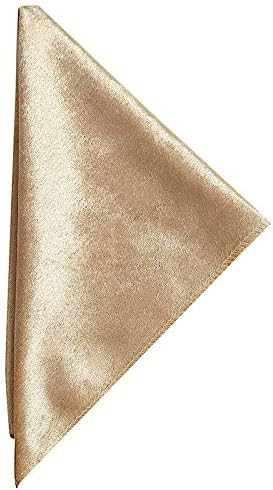 BalsaCircle 10 pcs 20x20-Inch Champagne Premium Velvet Napkins Wedding Party Home Events Dinner C... | Amazon (US)