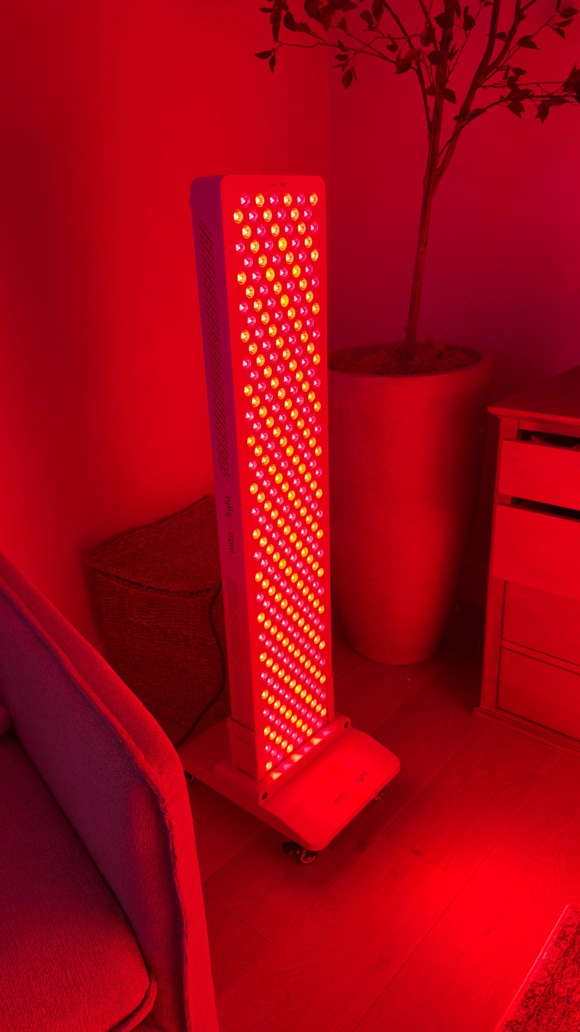 Amazon Cyber Deals

 @amazon #ad #founditonamazon #WinterFavorites2025

#LTKGiftGuide #LTKCyberWeek #LTKHoliday