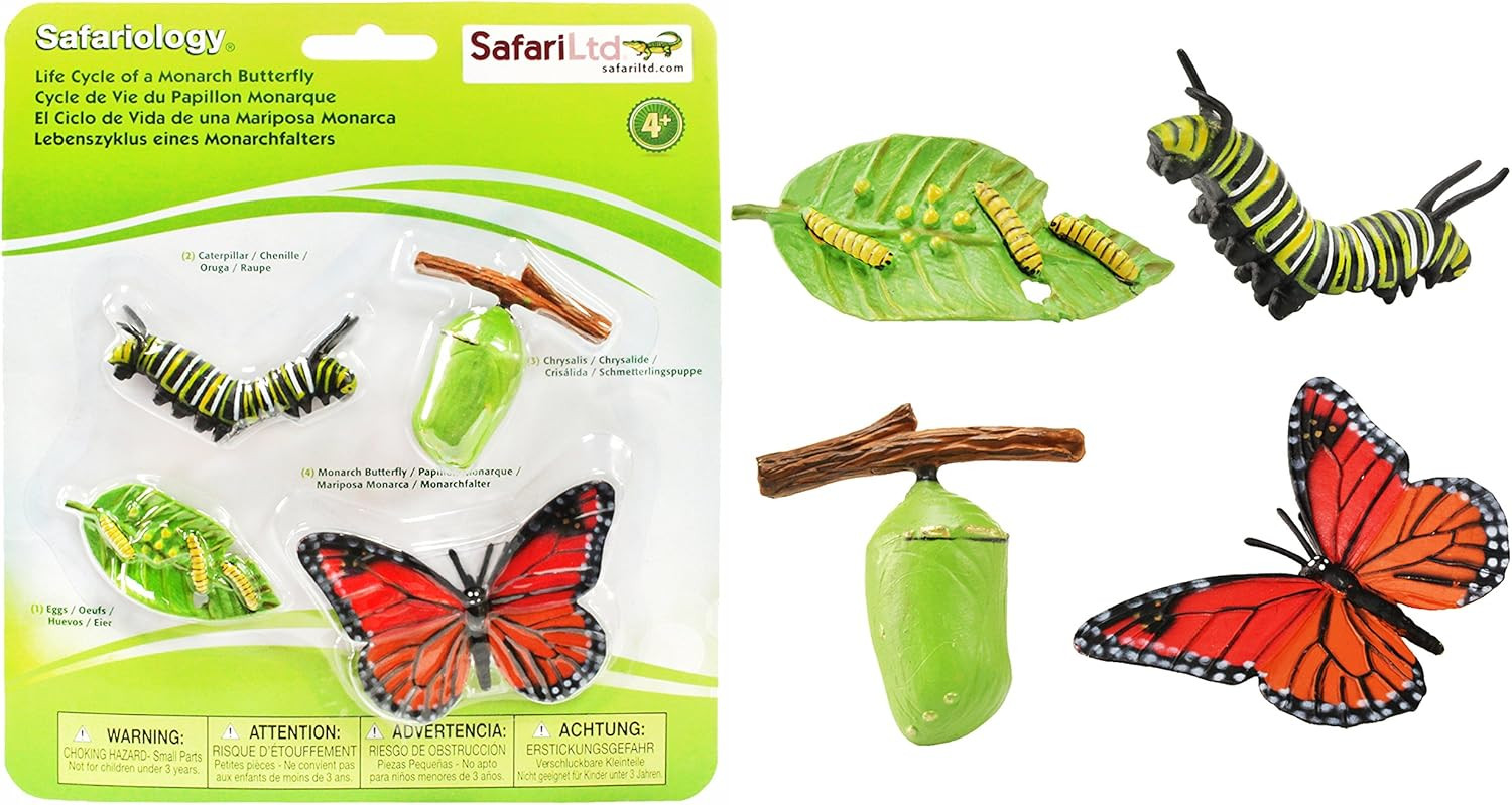 Safari Ltd Life Cycle of a Monarch Butterfly | Amazon (US)