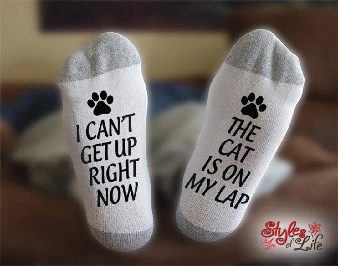 The Cat is on My Lap Socks, I Can't Get up Right Now, Gift, Birthday, Christmas, Gift for Him, Ca... | Etsy (US)