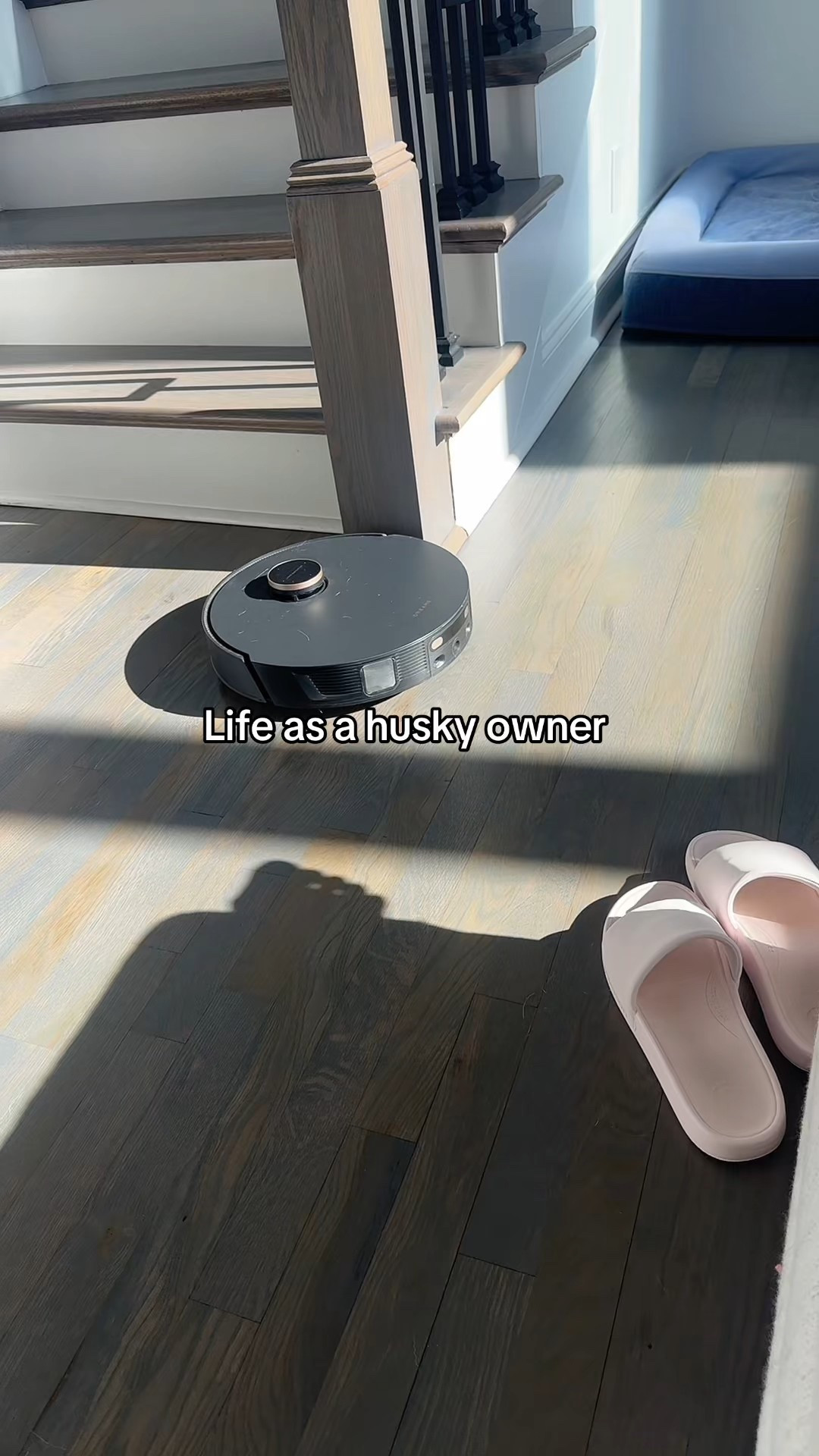 Idk what I would do without my robot vac 😭🐾💖

#LTKHome #LTKdayinmylife #LTKstorytime