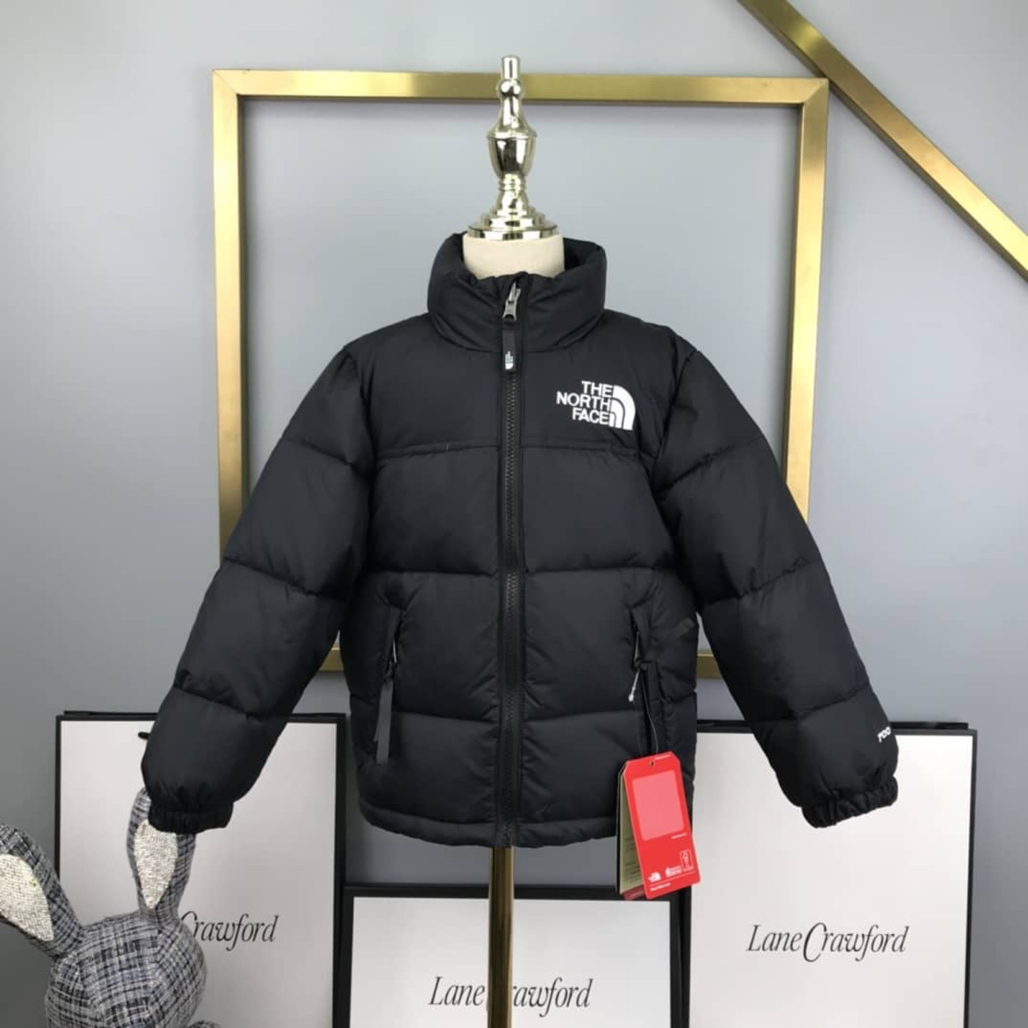 Kids north face jacket #ltkkids #northface #dhgate 

#LTKCyberWeek