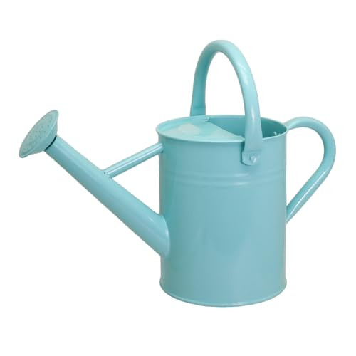 Lechloris Metal Watering Can for Outdoor Plants, 1 Gallon Galvanized Steel Watering Can with Removable spout for Outdoor & Indoor Use, Perfect for Garden Flower, Houseplants, Mint | Amazon (US)
