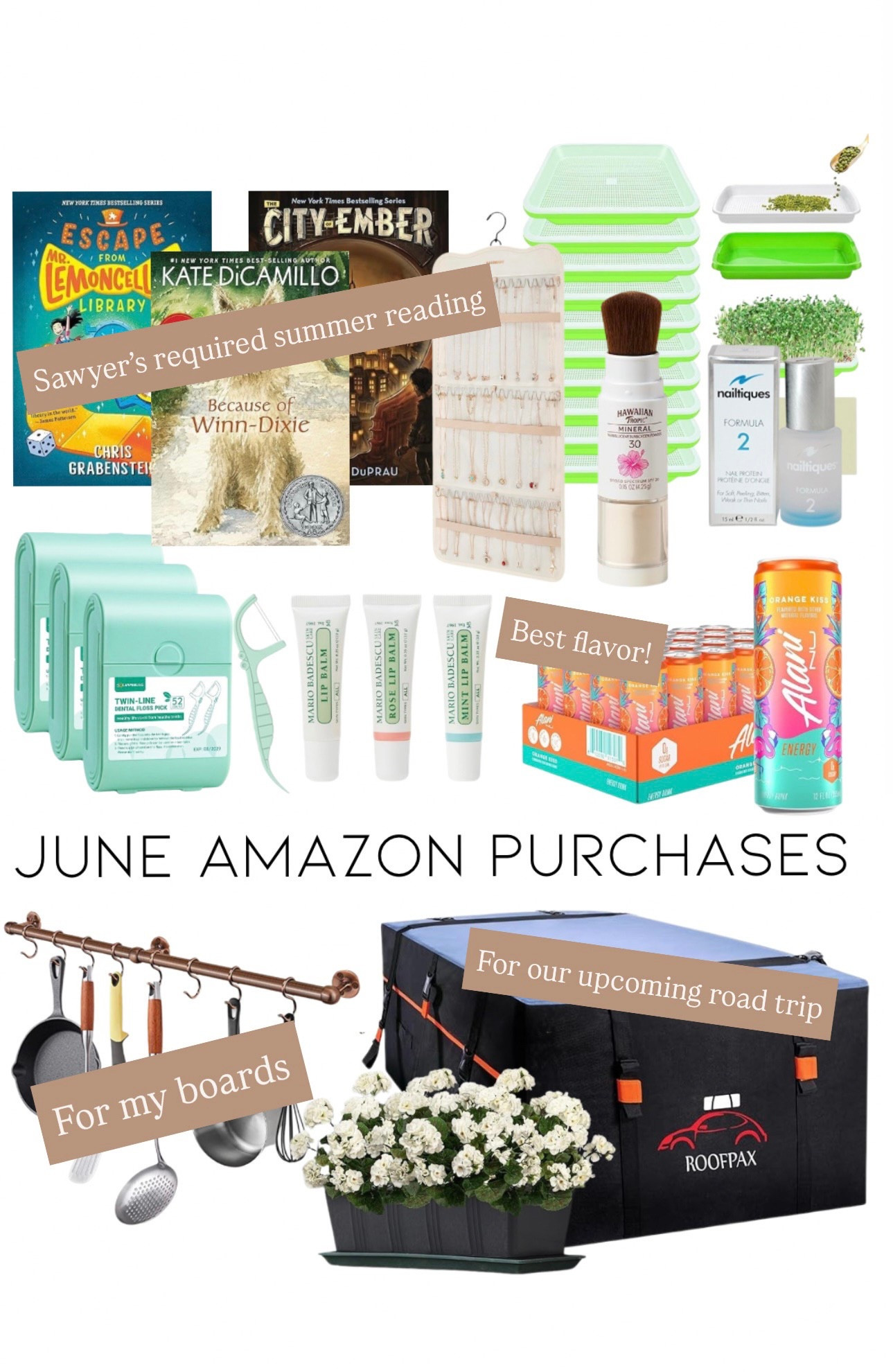 All the Amazon purchases we’ve ordered in June for our road trip, kids camp, and house things too!

#LTKTravel #LTKFindsUnder50 #LTKSummerEdit