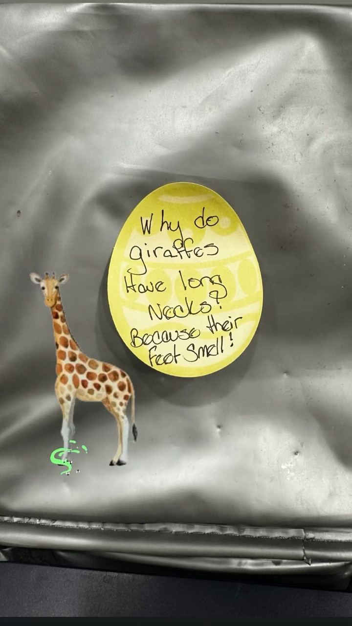 Today’s lunchbox joke

#LTKKids #LTKfoodie #LTKmorningroutine