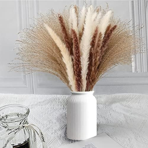 70Pcs Dried Pampas Grass 15 Pcs White Pampas & 15 Pcs Brown Pompous grass & 40 Pcs Natural Dried Ree | Amazon (CA)