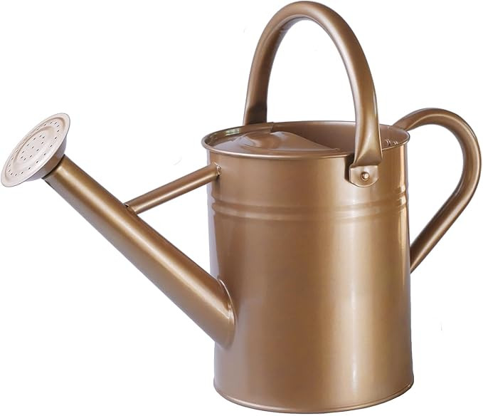 Metal Watering Can for Outdoor Plants, Galvanized Steel Watering Can with Removable spout, 1 Gall... | Amazon (US)