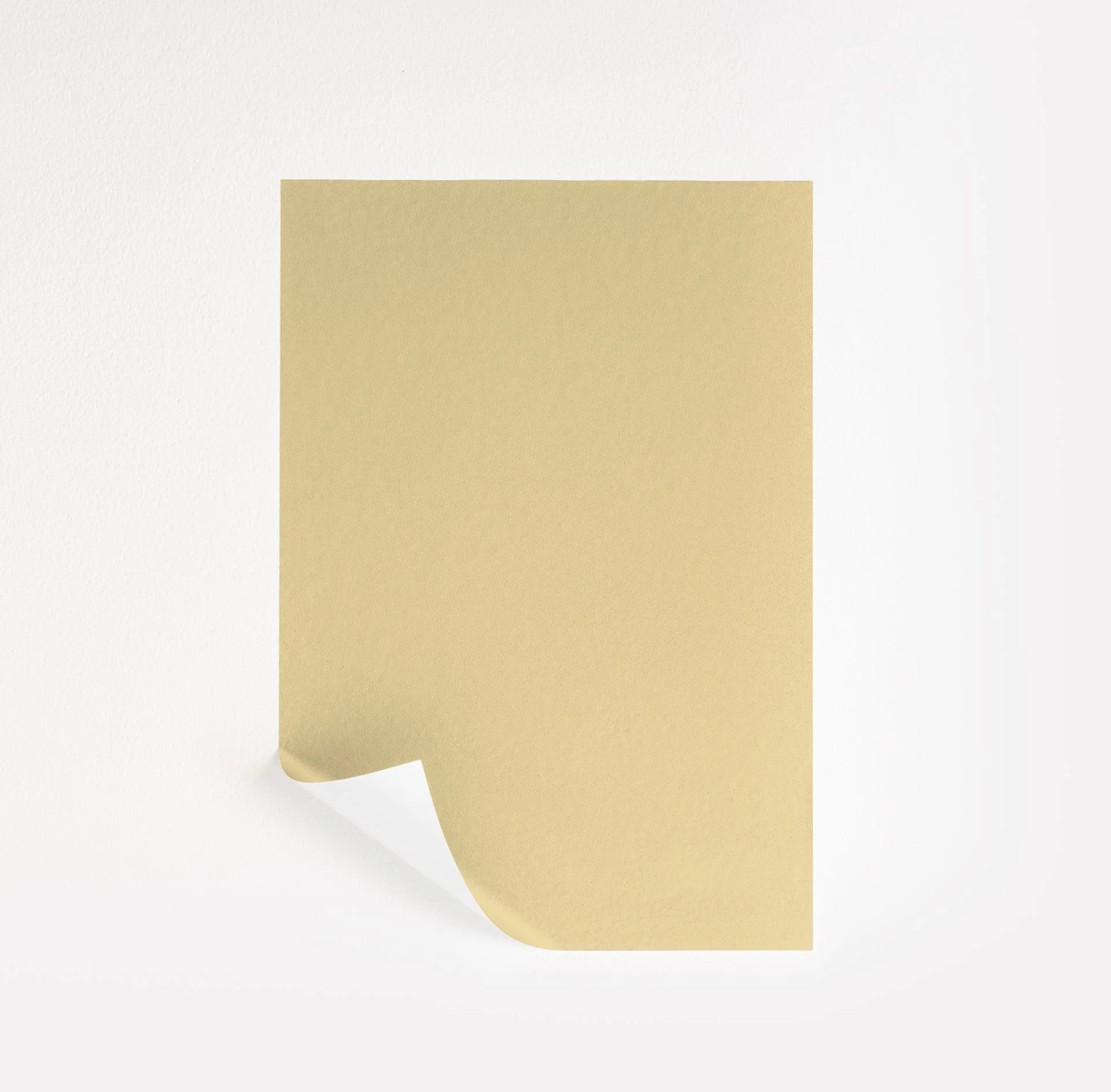 Banana Cream Paint Sample by Benjamin Moore (275) | Peel & Stick Paint Sample | Samplize