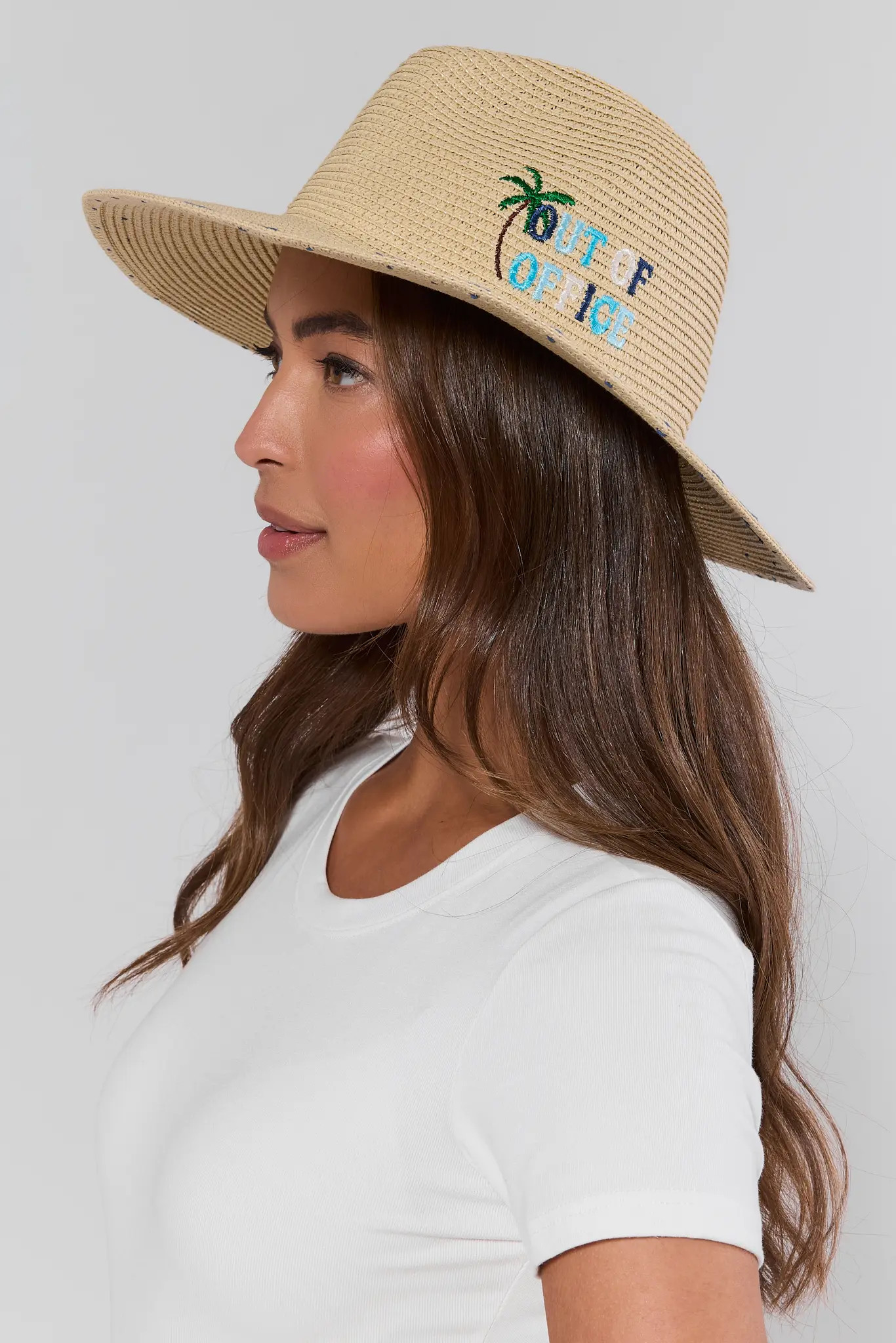 Raffia Embroidered Wide Brim Hat | Avara