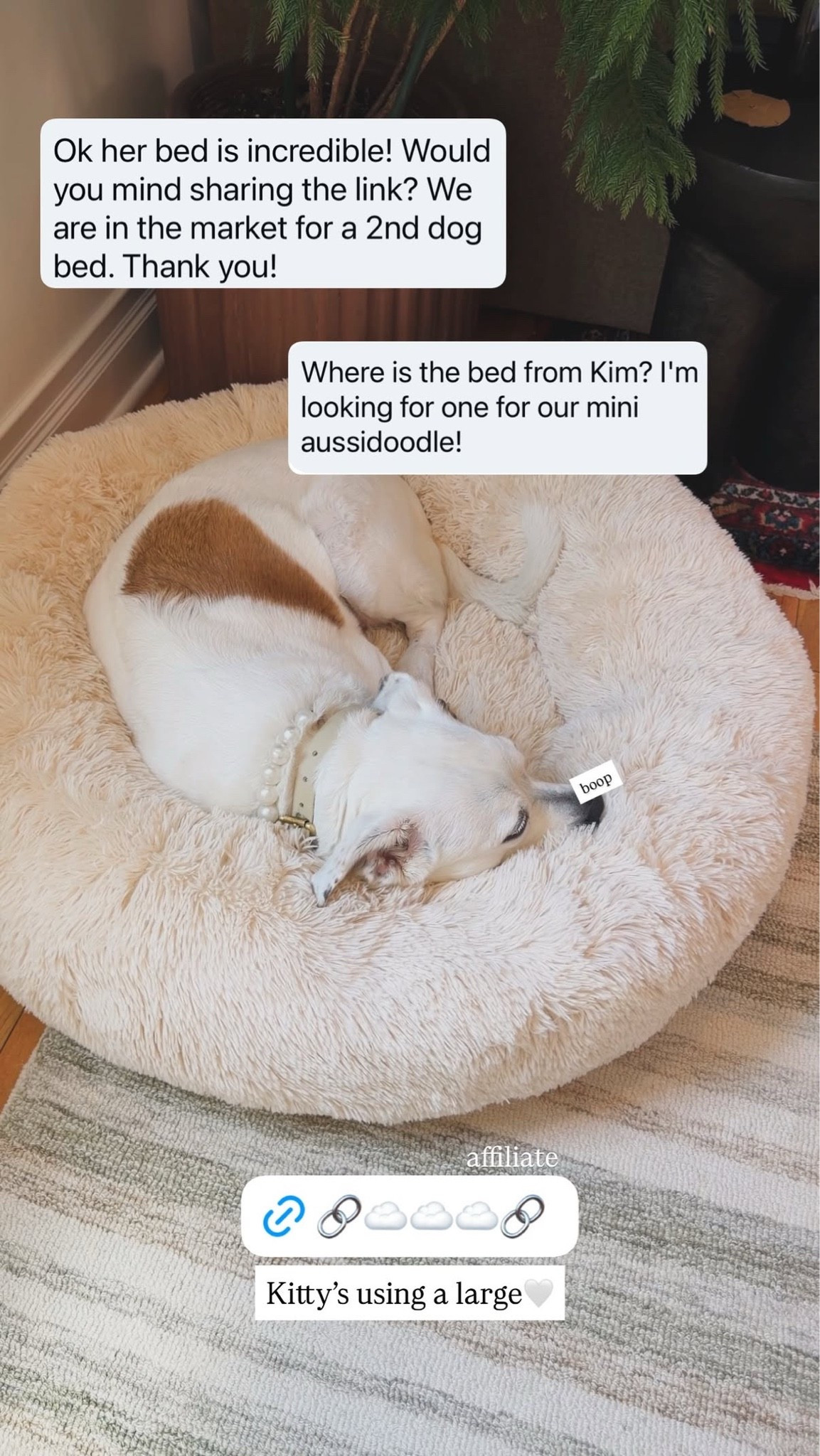 Kitty’s cloud bed ☁️

#LTKHome