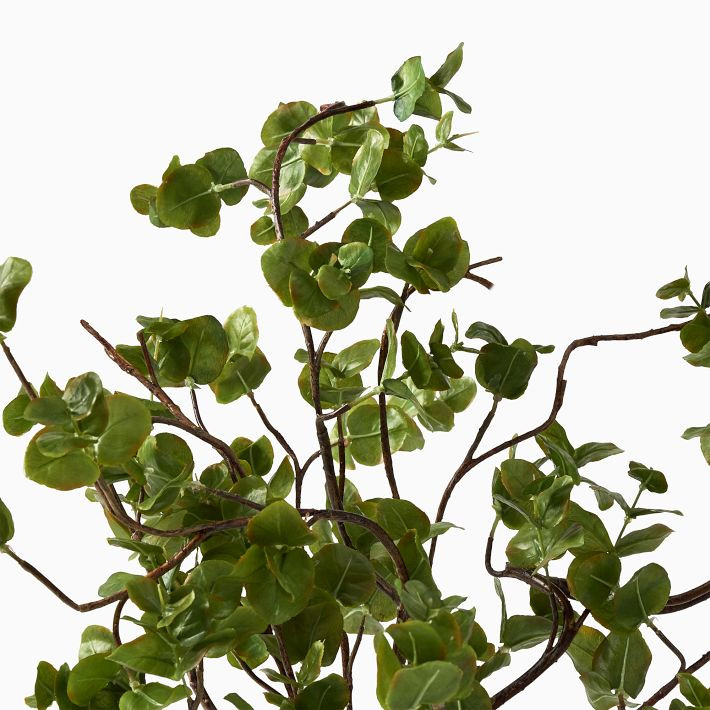 Faux Potted Wire Netting Bush Plant | West Elm (US)