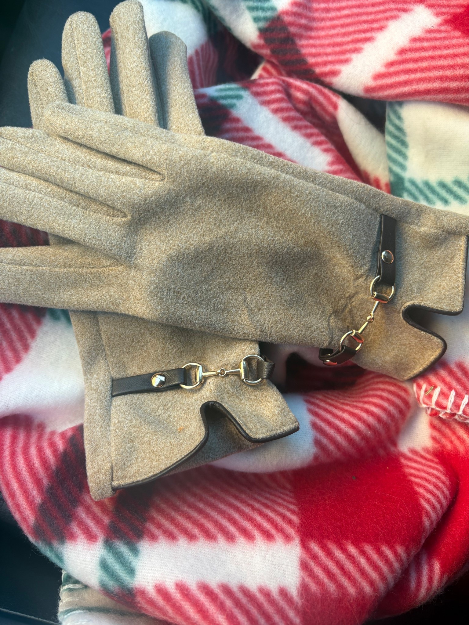 Amazon gloves that look $$$ and I have been wearing on repeat! Under $20! 

Great gift idea!

#LTKHoliday #LTKFindsUnder50 #LTKGiftGuide